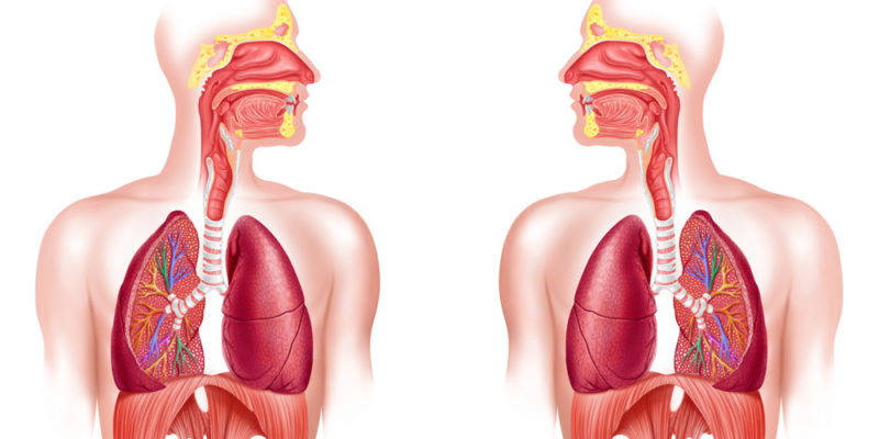 Les causes de l’halitose dans le tube digestif